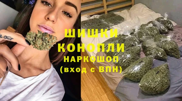 хмурый Дмитриев