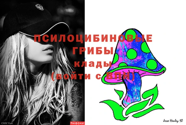 стаф Дмитров