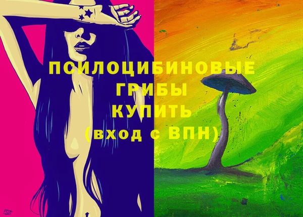 стаф Дмитров