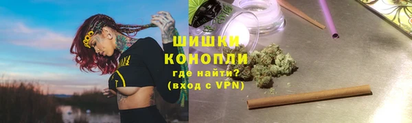 стаф Дмитров