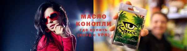 стаф Дмитров