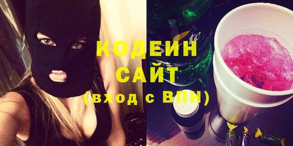 стаф Дмитров