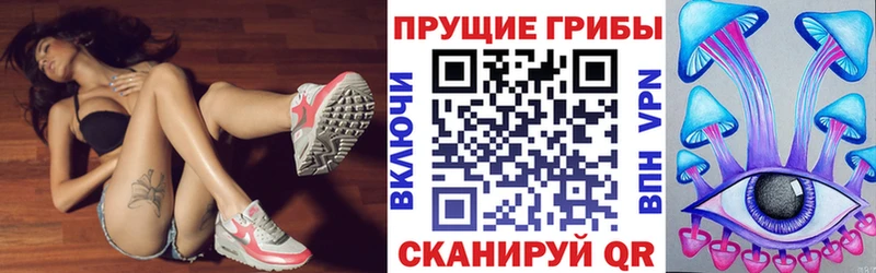 Псилоцибиновые грибы ЛСД  купить   даркнет какой сайт  Закаменск  кракен онион 