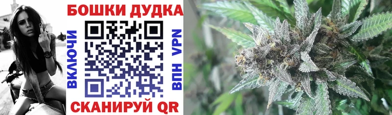 нарко площадка формула  как найти закладки  Закаменск  МАРИХУАНА SATIVA & INDICA 
